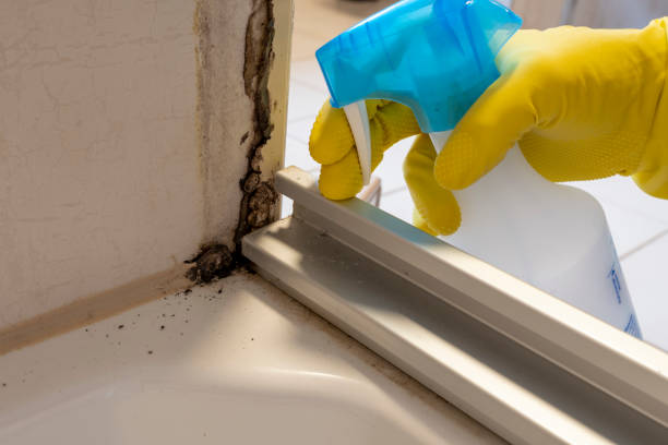 Best Mold Testing  in Germantown, TN